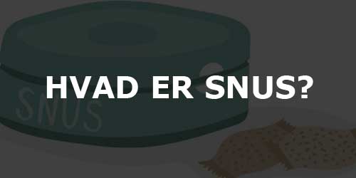 Hvordan bruges snus eller nikotinposer?